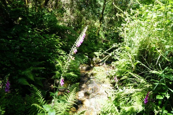 Foto 36 da atividade Galeria de Fotos