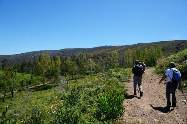 Foto 13 da atividade Galeria de Fotos