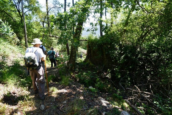 Foto 8 da atividade Galeria de Fotos