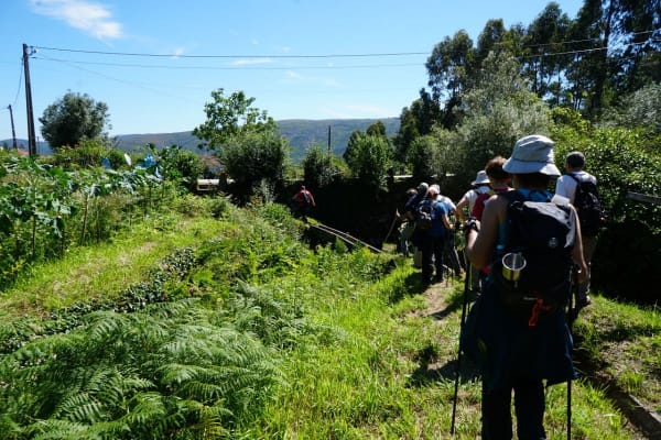 Foto 10 da atividade Galeria de Fotos