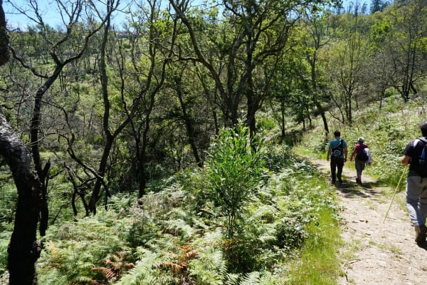 Foto 1 da atividade Galeria de Fotos