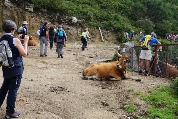 Foto 102 da atividade Galeria de Fotos