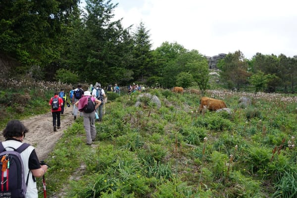 Foto 92 da atividade Galeria de Fotos