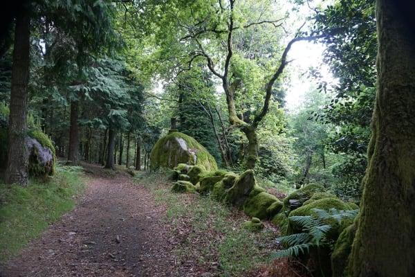 Foto 78 da atividade Galeria de Fotos