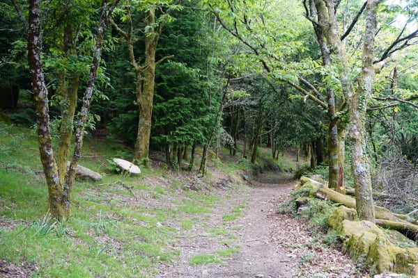 Foto 69 da atividade Galeria de Fotos