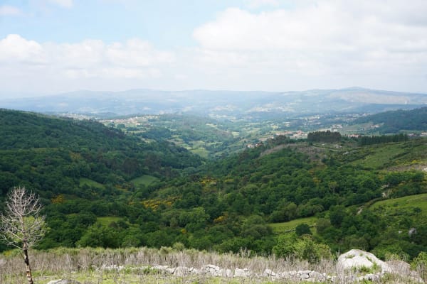 Foto 48 da atividade Galeria de Fotos