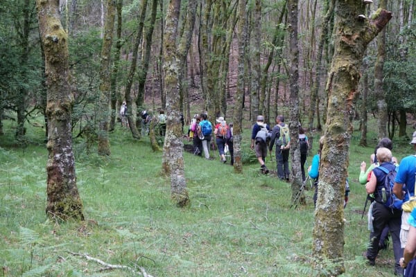 Foto 43 da atividade Galeria de Fotos