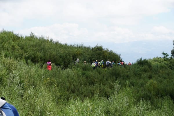 Foto 28 da atividade Galeria de Fotos