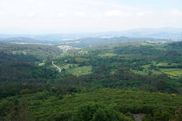 Foto 22 da atividade Galeria de Fotos