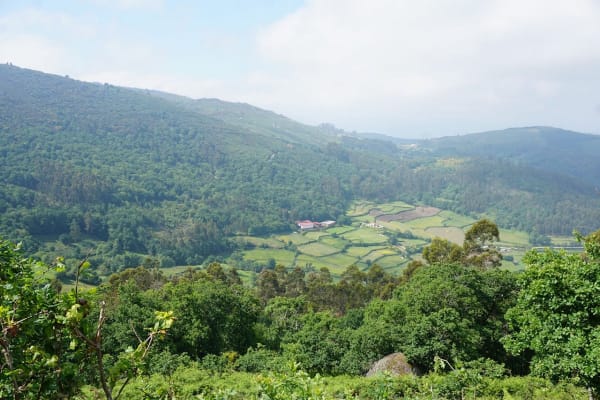 Foto 8 da atividade Galeria de Fotos