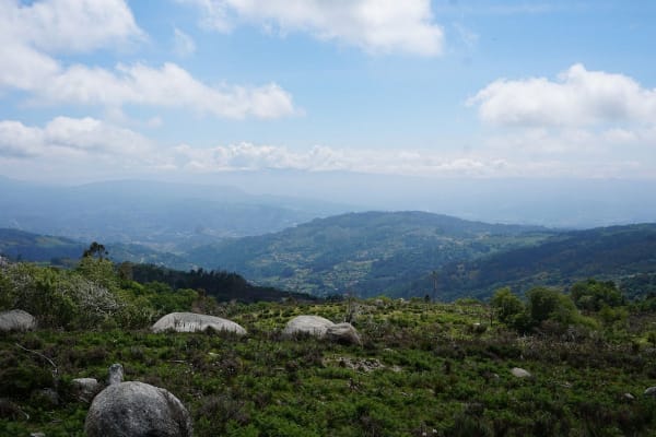 Foto 1 da atividade Galeria de Fotos