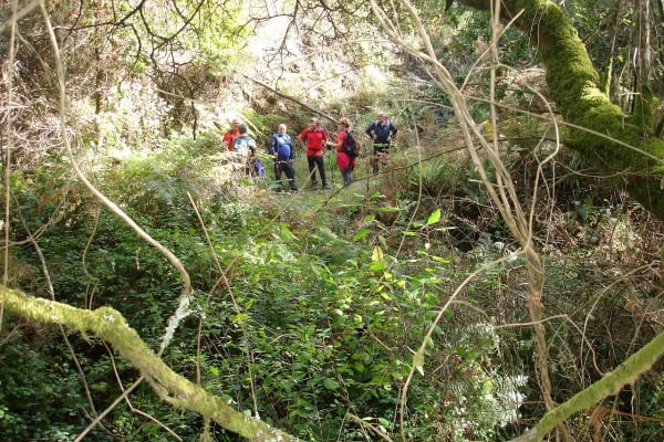 Foto 12 da atividade Galeria de Fotos