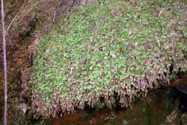 Foto 5 da atividade Galeria de Fotos