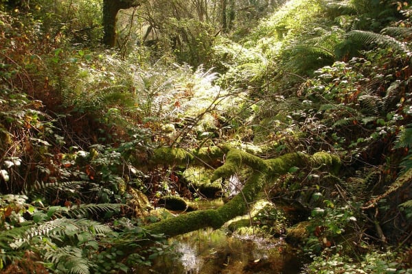 Foto 3 da atividade Galeria de Fotos