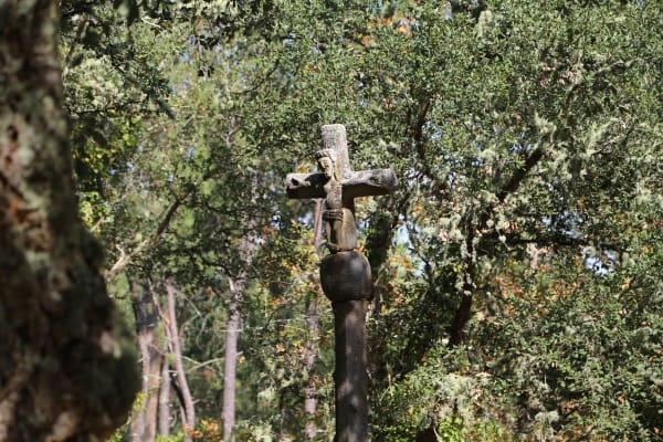 Foto 187 da atividade Galeria de Fotos