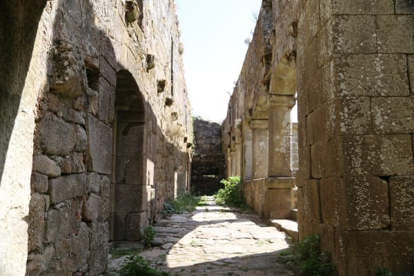 Foto 126 da atividade Galeria de Fotos