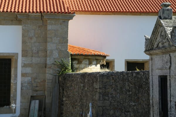 Foto 71 da atividade Galeria de Fotos