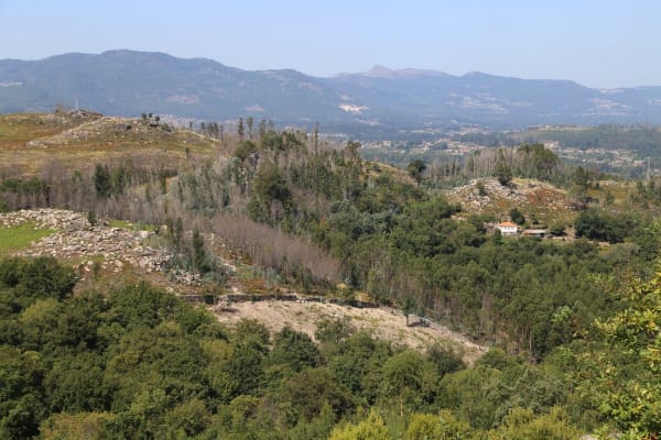 Foto 48 da atividade Galeria de Fotos