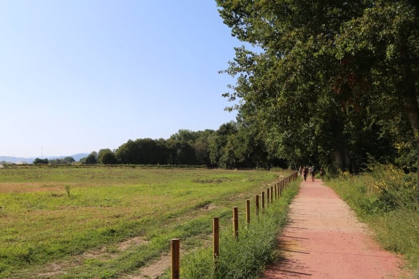 Foto 36 da atividade Galeria de Fotos