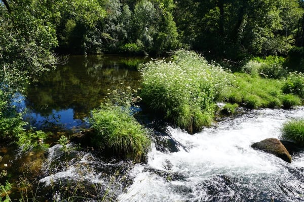 Foto 121 da atividade Galeria de Fotos