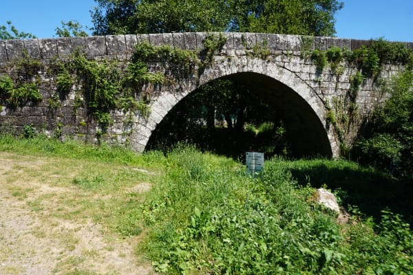 Foto 88 da atividade Galeria de Fotos