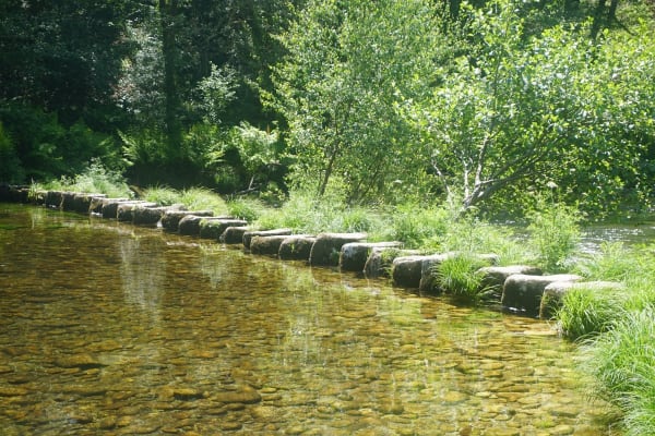 Foto 86 da atividade Galeria de Fotos