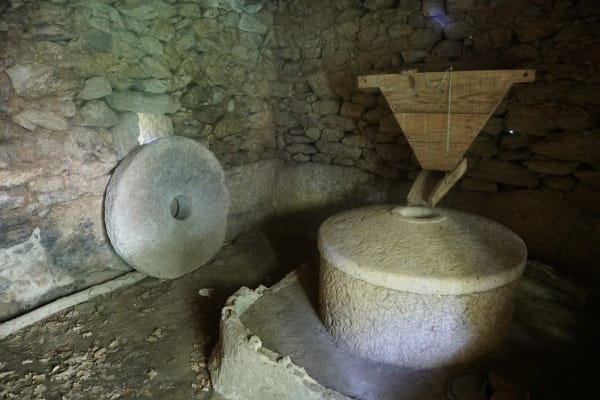 Foto 48 da atividade Galeria de Fotos