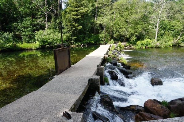 Foto 45 da atividade Galeria de Fotos