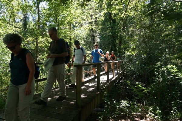 Foto 36 da atividade Galeria de Fotos