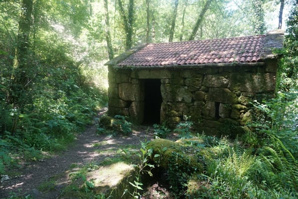 Foto 27 da atividade Galeria de Fotos