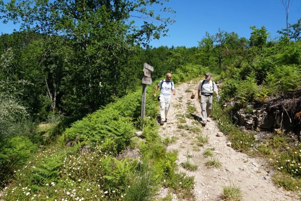 Foto 19 da atividade Galeria de Fotos