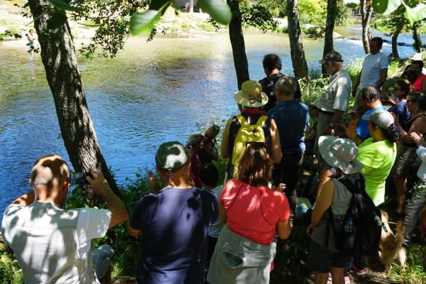 Foto 14 da atividade Galeria de Fotos