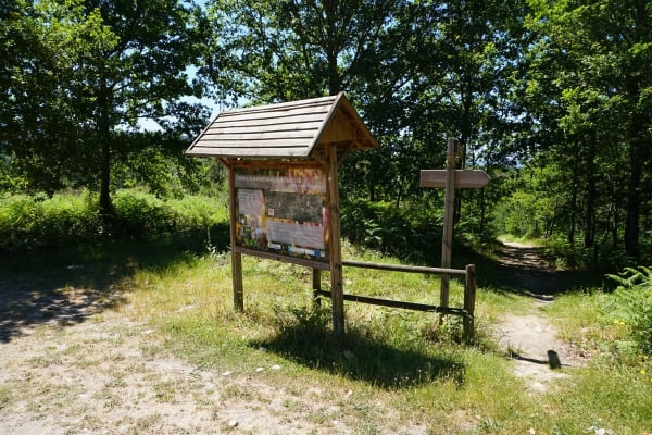 Foto 12 da atividade Galeria de Fotos