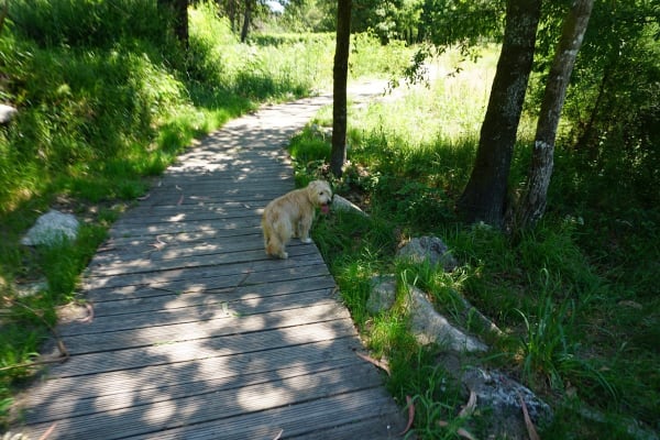 Foto 2 da atividade Galeria de Fotos