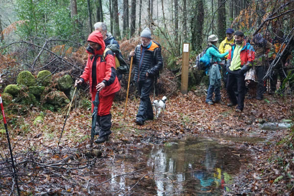 Foto 117 da atividade Galeria de Fotos