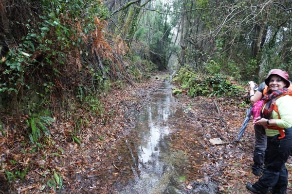 Foto 114 da atividade Galeria de Fotos