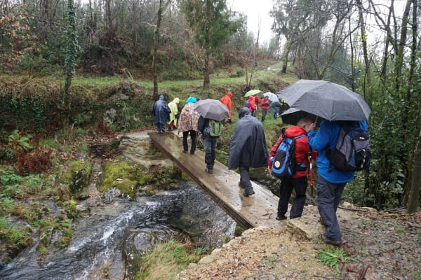 Foto 96 da atividade Galeria de Fotos