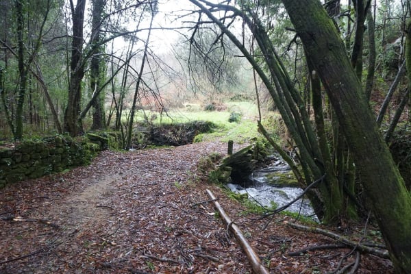 Foto 75 da atividade Galeria de Fotos