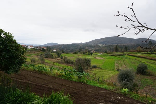 Foto 72 da atividade Galeria de Fotos