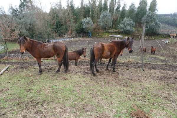 Foto 71 da atividade Galeria de Fotos