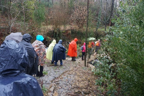 Foto 66 da atividade Galeria de Fotos