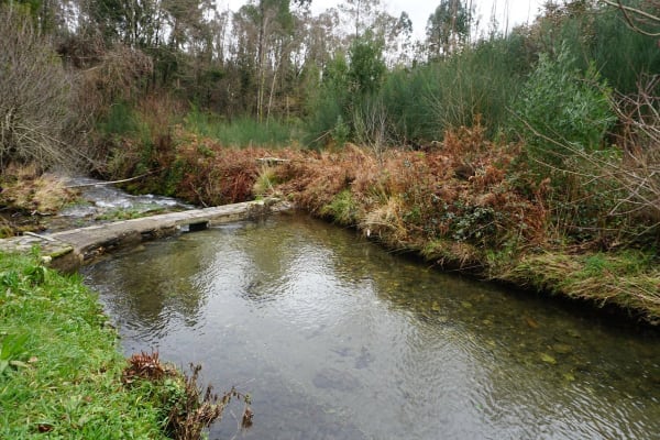 Foto 59 da atividade Galeria de Fotos