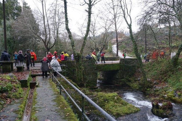 Foto 56 da atividade Galeria de Fotos