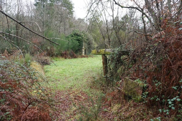 Foto 48 da atividade Galeria de Fotos