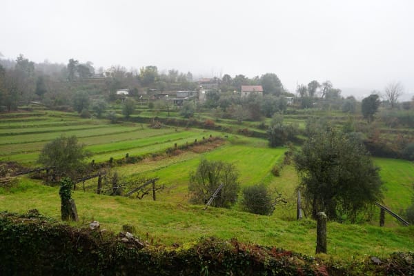 Foto 45 da atividade Galeria de Fotos