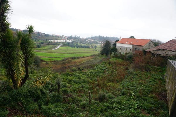 Foto 38 da atividade Galeria de Fotos