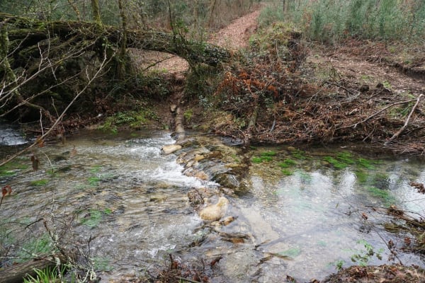 Foto 31 da atividade Galeria de Fotos