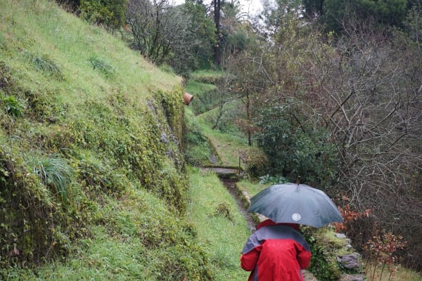 Foto 20 da atividade Galeria de Fotos