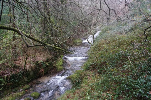 Foto 14 da atividade Galeria de Fotos