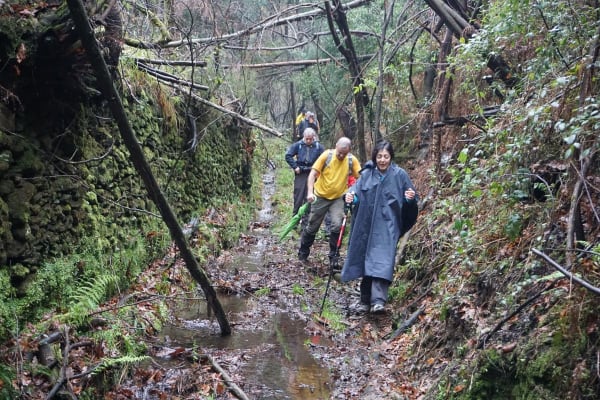 Foto 7 da atividade Galeria de Fotos